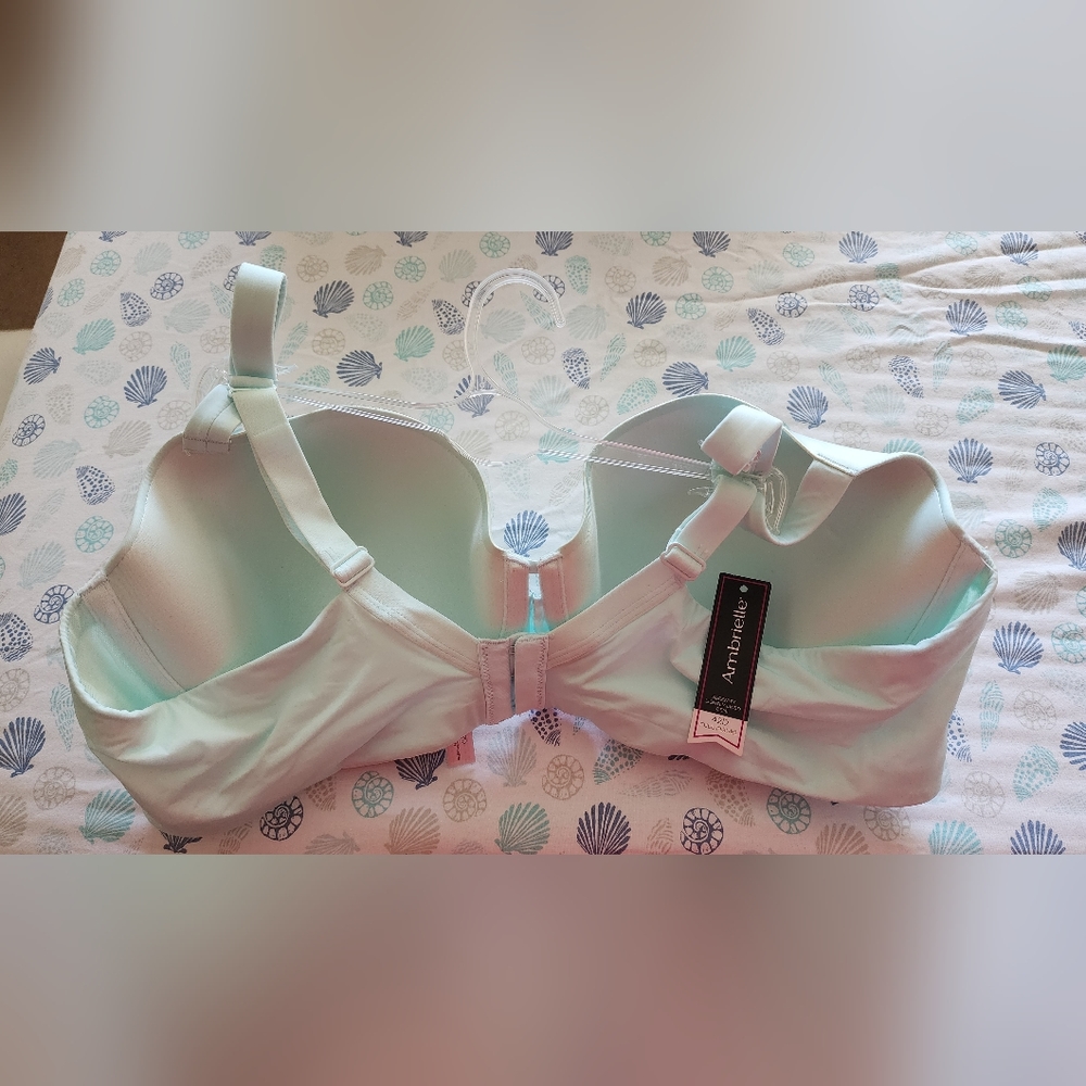 Bra - Picture 2 of 2